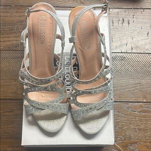De Blossom Collection Sparkling Silver Heels
